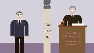 Missouri v Holland Case Brief Summary  Law Case Explained [upl. by Rafa]