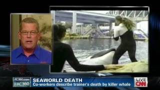 SeaWorld trainers describe death details [upl. by Danna]