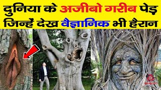 दुनिया के अजीबो गरीब पेड़ जिन्हें देख वैज्ञानिक भी हैरान  Strangest and Rarest Trees on Earth [upl. by Eddina110]