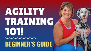 Beginner’s Guide to Dog Agility An Introduction to Get Started in Dog Agility  Dog Training [upl. by Aver]