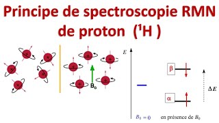 spectroscopie RMN 1  principe de spectroscopie RMN de proton H [upl. by Marcille]