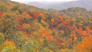 Asheville NC Amazing Fall Foliage 2011 [upl. by Appilihp932]