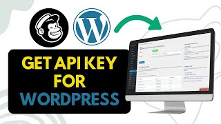 How To Get Mailchimp API Key For Wordpress Full Guide [upl. by Dore]