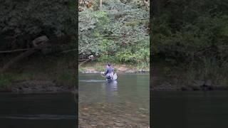 Trout Spey Season Is Upon Us pnw speycasting flyfishing [upl. by Cheyne]