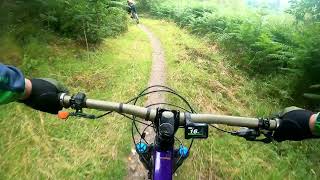 Mabie Forest E Bikes Rule 2024 [upl. by Laddie701]