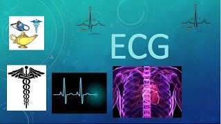 ELECTROCARDIOGRAMA ECG  APRENDIENDO FÁCIL [upl. by Annuhsal]