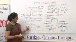 Types of vertebrae lectureBscMsc by priyanka khan [upl. by Oaoj432]