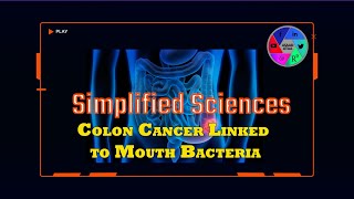 Colon Cancer Linked to Mouth Bacteria [upl. by Yorgo]