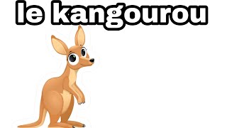 poésie le Kangourou cp CE1 CE2 poésie [upl. by Rand524]