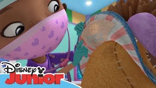 Doktor McStuffins Lejonet Svantes krossade hjärta  Disney Junior Sverige [upl. by Hawker]