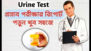 Urine RE test report বা প্রস্রাবের রিপোর্ট বোঝার সবচেয়ে সহজ উপায় । MediTalk With Naimur [upl. by Muriel]