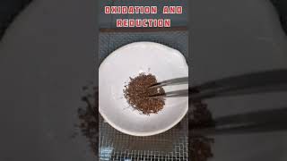 Oxidation and Reduction reactionClass x scienceExperiment [upl. by Suiremed]