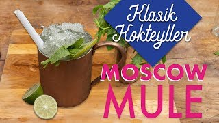 MOSCOW MULE Kokteyli Nasıl Yapılır [upl. by Roldan]