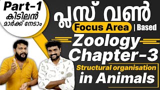 Plus One Zoology  Focus Area Based Class  Chapter 3  Structural Organization in Animals  Part 1 [upl. by Krik474]