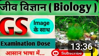 BIOLOGY GENERAL SCIENCE FOR COMPETITIVE EXAMINATIONS BPSC SSC UPP UPSC RAILWAY BANKING [upl. by Kaylyn]