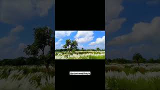 Sky photographynaturekashfulnatureloversnaturephotographyskylookytshortsytviralviralvideo [upl. by Crystie]