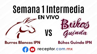 Burros Blancos IPN vs Búhos Guinda IPN  Semana 1 Intermedia ONEFA 2024  EN VIVO [upl. by Ihsoyim688]