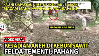 HAIWAN ANEH MUNCUL DI KEBUN SAWIT UNDANG PELBAGAI TANDA TANYA [upl. by Assi918]