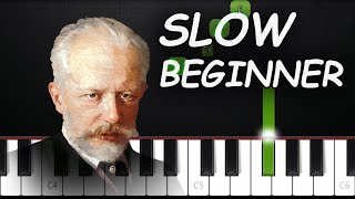 Tchaikovsky  Swan Lake  SLOW BEGINNER Piano Tutorial [upl. by Godden]