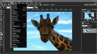 PaintShop Photo Pro X3 New Features Highlights [upl. by Encrata]