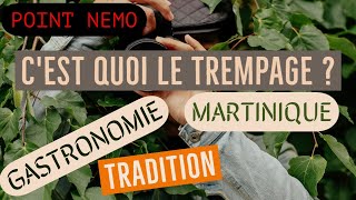 TOUT SUR LE TREMPAGE UNE TRADITION MARTINIQUAISE  POINT NEMO [upl. by Ellatsyrc]