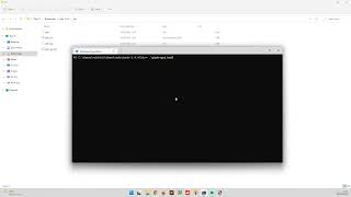 Install Jadx in Windows [upl. by Naitsirk]