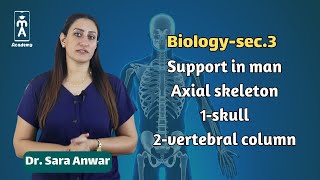 Biologysec3  Support in man Axial skeleton skull vertebral column [upl. by Anieral]