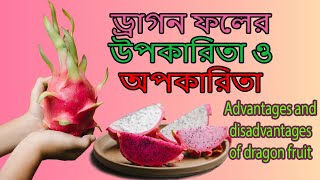 ড্রাগন ফলের উপকারিতা ও অপকারিতা Advantages and disadvantages of dragon fruit [upl. by Lauryn]