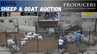 10242023  Producers Livestock Auction Company Sheep amp Goat Auction [upl. by Eidualc]