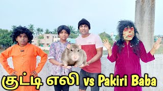 குட்டி எலி vs Pakiri Baba  comedy video  funny video  Prabhu Sarala lifestyle [upl. by Pall812]