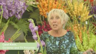 Malvern Autumn Show  Highlights 2016 [upl. by Teri]