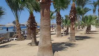 Brayka Bay Reef  Beautiful Beach Marsa Alam  Egypt Resort brayka [upl. by Erbma]