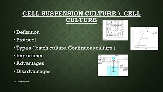 Primary Cell Culture PART 1 Animal cell culture [upl. by Gherlein]