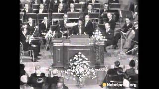 Martin Luther King Jr Nobel Peace Prize Acceptance Speech [upl. by Phail]