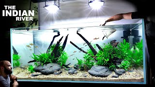 The Indian River Aquarium EPIC 4ft Aquascape Tutorial w Torpedo Barbs [upl. by Maclean]