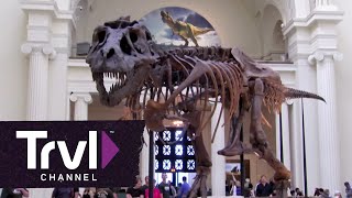 Chicagos Field Museum  Travel Channel [upl. by Harve]