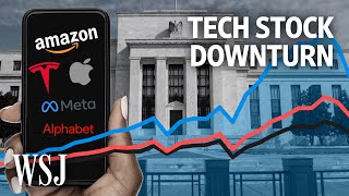 Why Are Tech Stocks Taking Such a Beating  WSJ [upl. by Ransom]