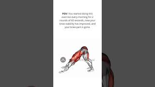 Knee Pain  Knee Stability  Mobility Exercises  The Mobility Manual [upl. by Holman]