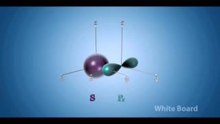 SpSp2 Hybridization [upl. by Portugal]