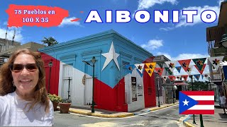 Aibonito PUERTO RICO La Ciudad de las Flores I Zennys Adventures [upl. by Ormiston]