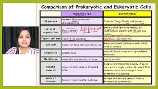 Prokaryotic Vs Eukaryotic Cells  Biology  Prokaryotic and Eukaryotic Cells Similarities  Part 2 [upl. by Oskar]