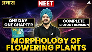 MORPHOLOGY OF FLOWERING PLANTS  NEET 2024  ONE DAY ONE CHAPTER  COMPLETE BIOLOGY REVISION [upl. by Yam499]