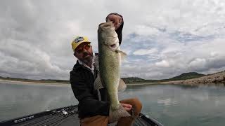 Central Texas Bass Fishing  Stillhouse Hollow Lake April 10 2023 Large 540p [upl. by Marlena4]