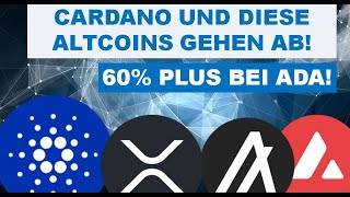 CARDANO BRICHT AUS 060  AKTUELL WEITERE ALTCOINS MIT PUMPS BITCOIN WIRD UMGESCHICHTET [upl. by Seyer]