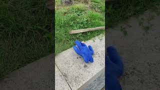 fart spray prank on poor blue banban [upl. by Loginov]