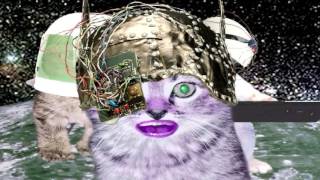 Emerge by Fischerspooner sung by kittens [upl. by Ahusoj]