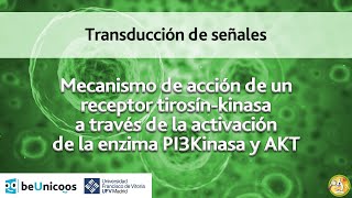 Receptor proteína kinasa y AKT [upl. by Suez]