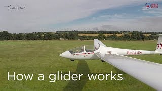 How a glider works [upl. by Bean130]