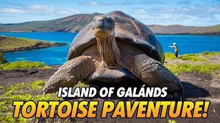 Exploring the Galápagos Islands The Land of Giant Tortoises [upl. by Noskcaj]