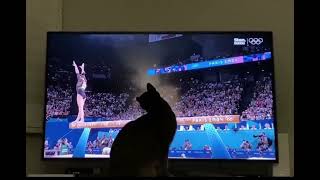 Kitten saves the gymnast [upl. by Aelyak]